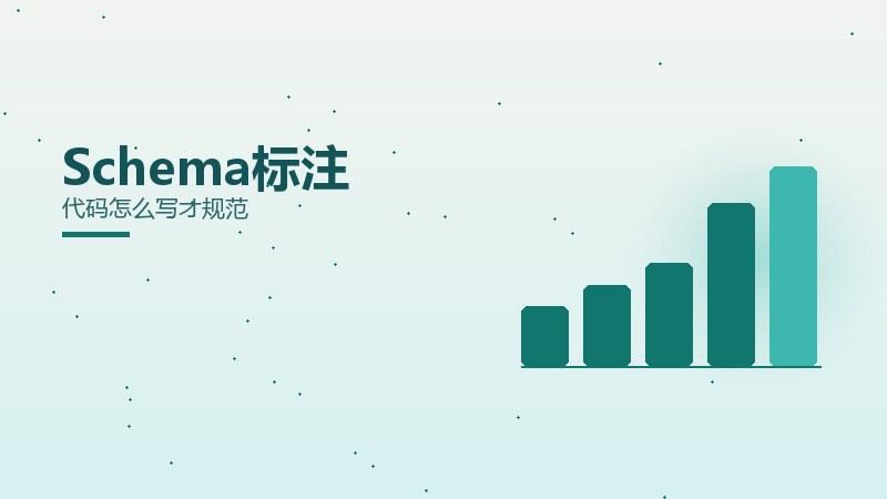 逻辑秘籍·Schema标注代码怎么写才规范