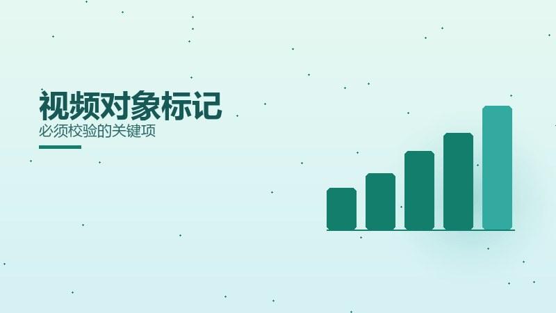 闭环解读｜视频对象标记必须校验的关键项