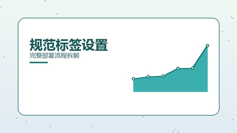 全貌解析丨规范标签设置完整部署流程拆解