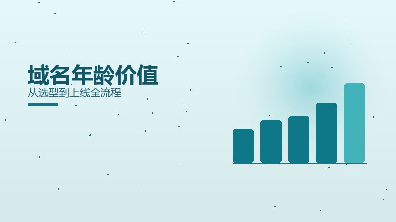 域名年龄价值